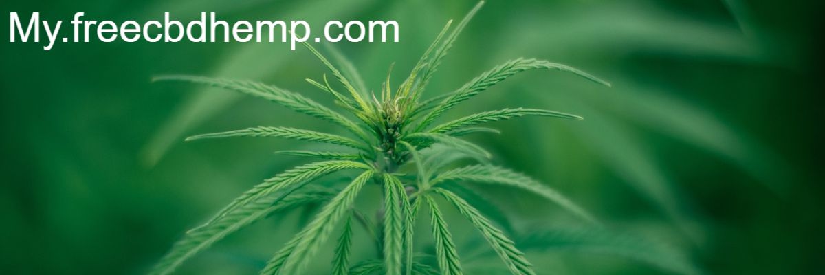 my.freecbdhemp.com